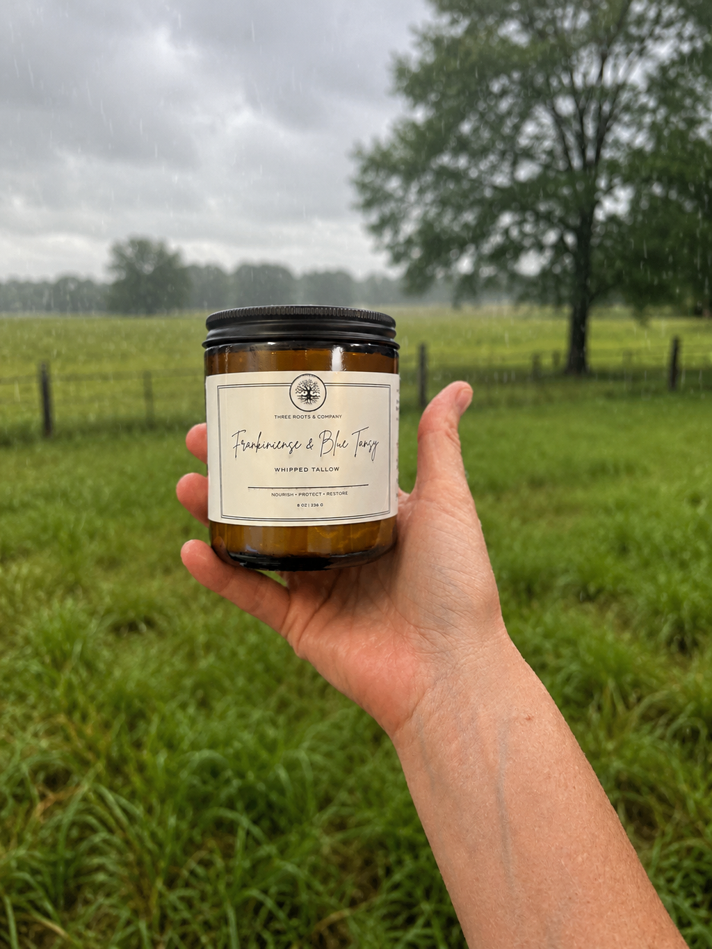 Frankincense & Blue Tansy - Whipped Tallow