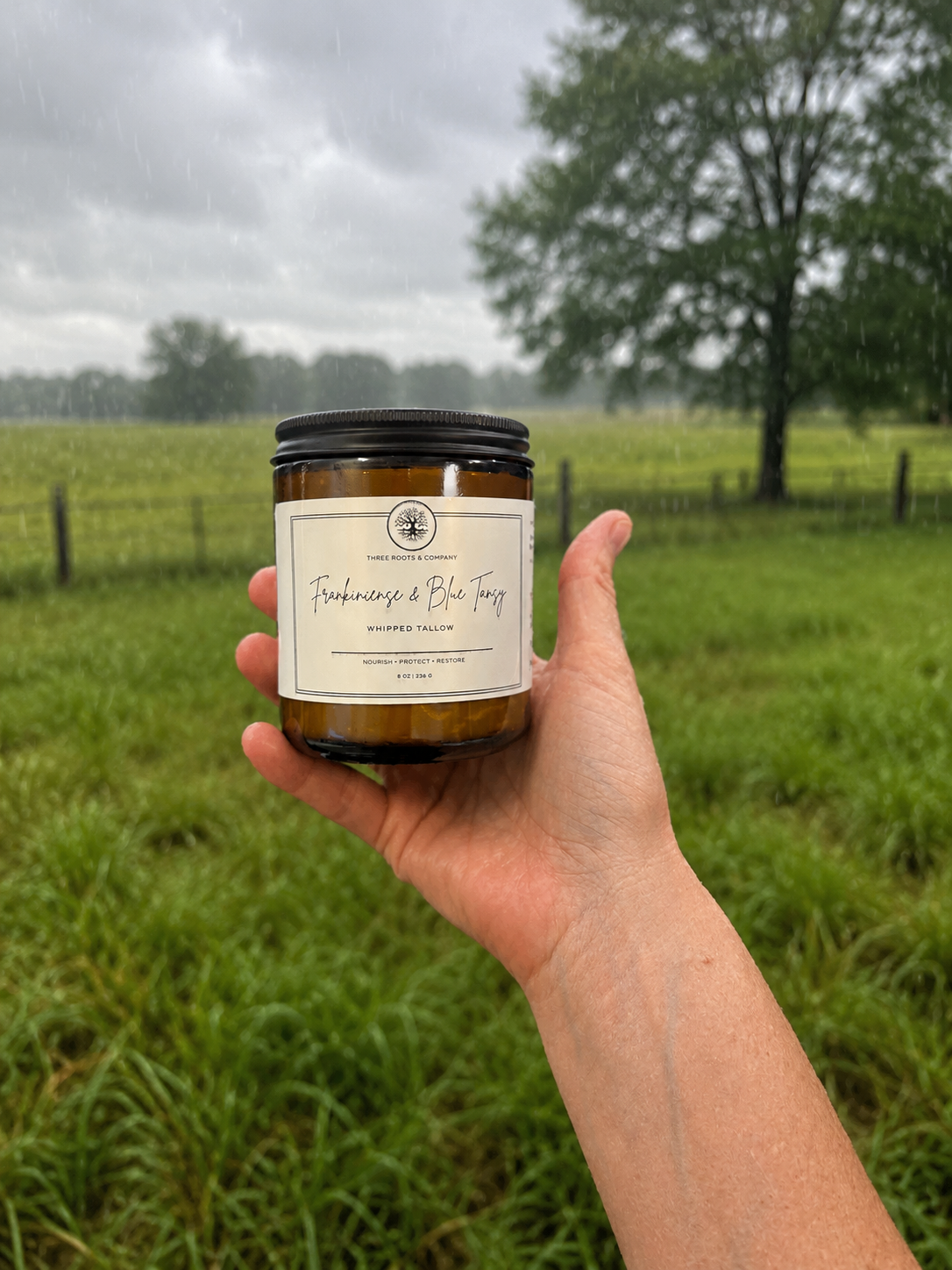 Frankincense & Blue Tansy - Whipped Tallow